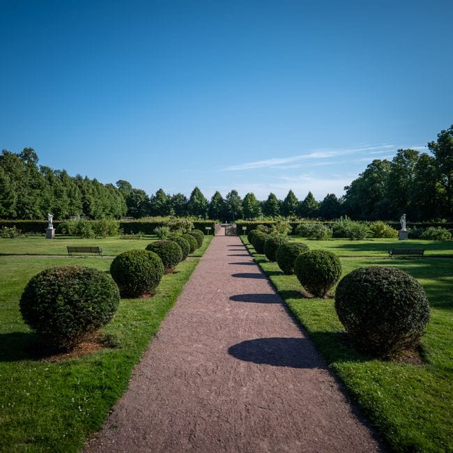 Paths and garden edges are masked before anything is rolled out.