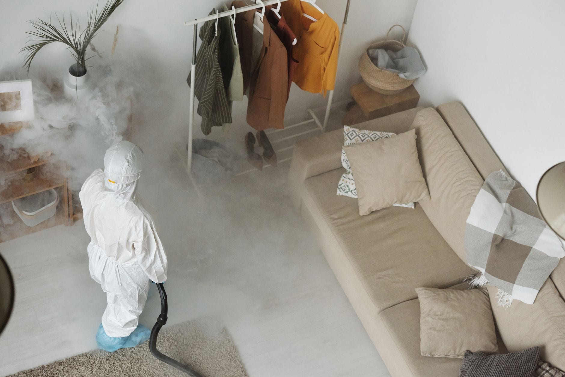 Pest treatment applied in a vacant property.